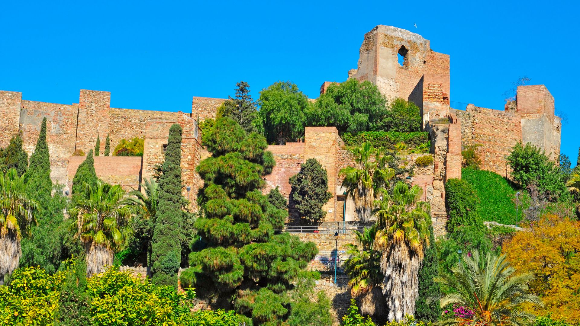 Alcazaba de Málaga