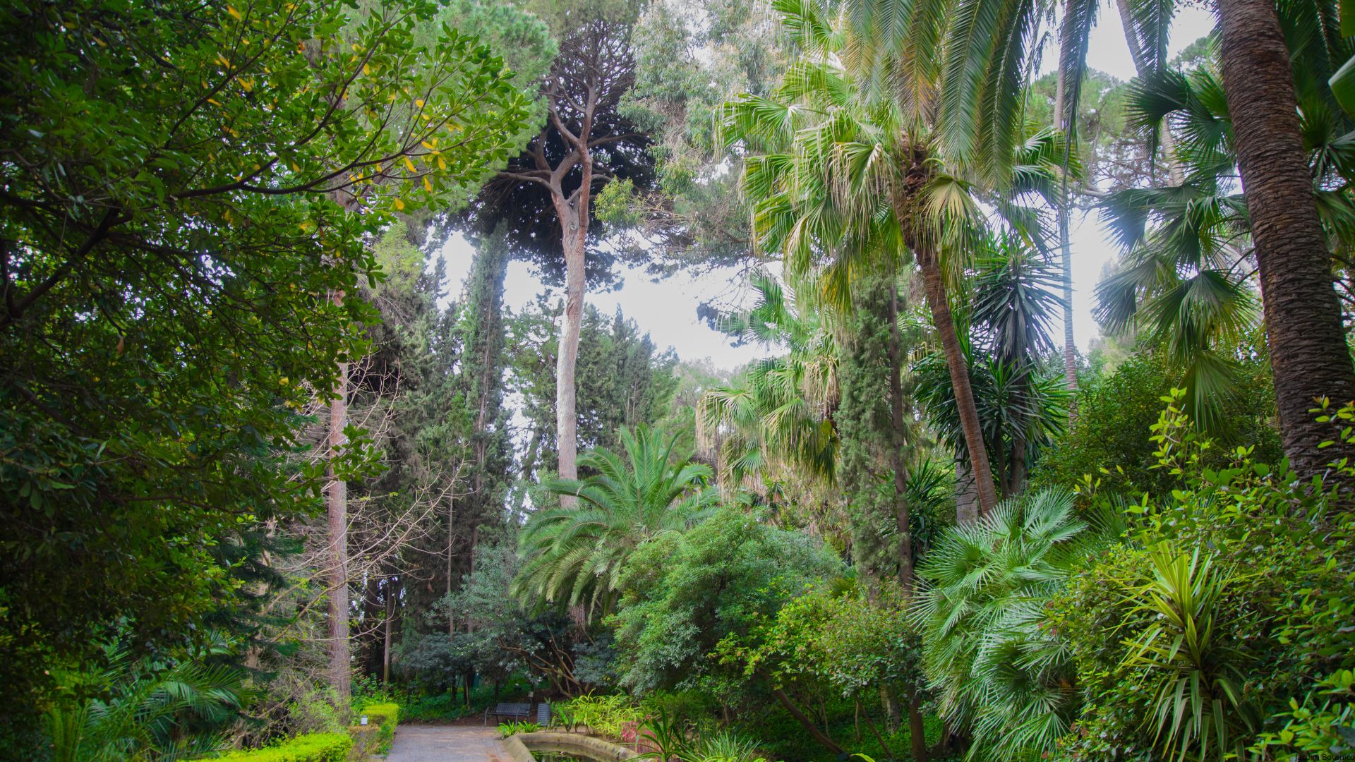Jardim Botanico
