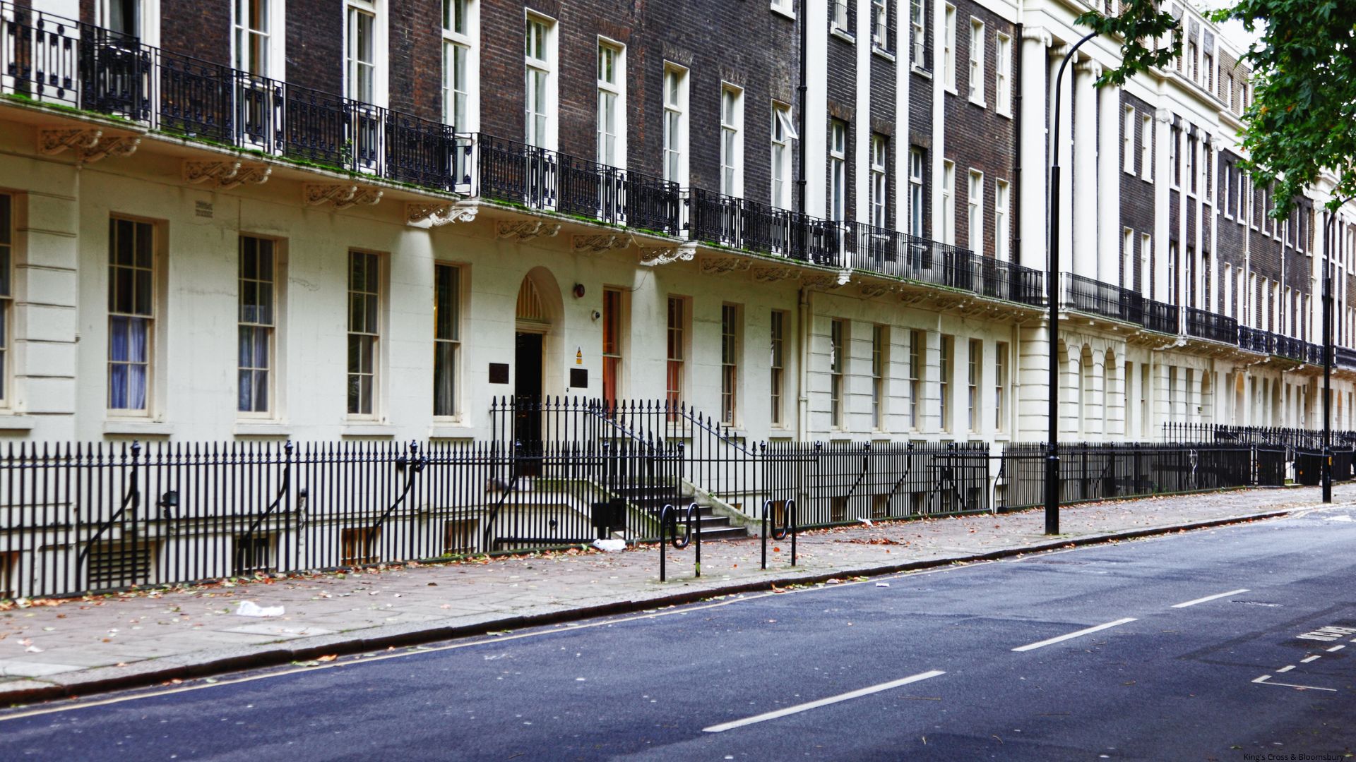 King's Cross & Bloomsbury