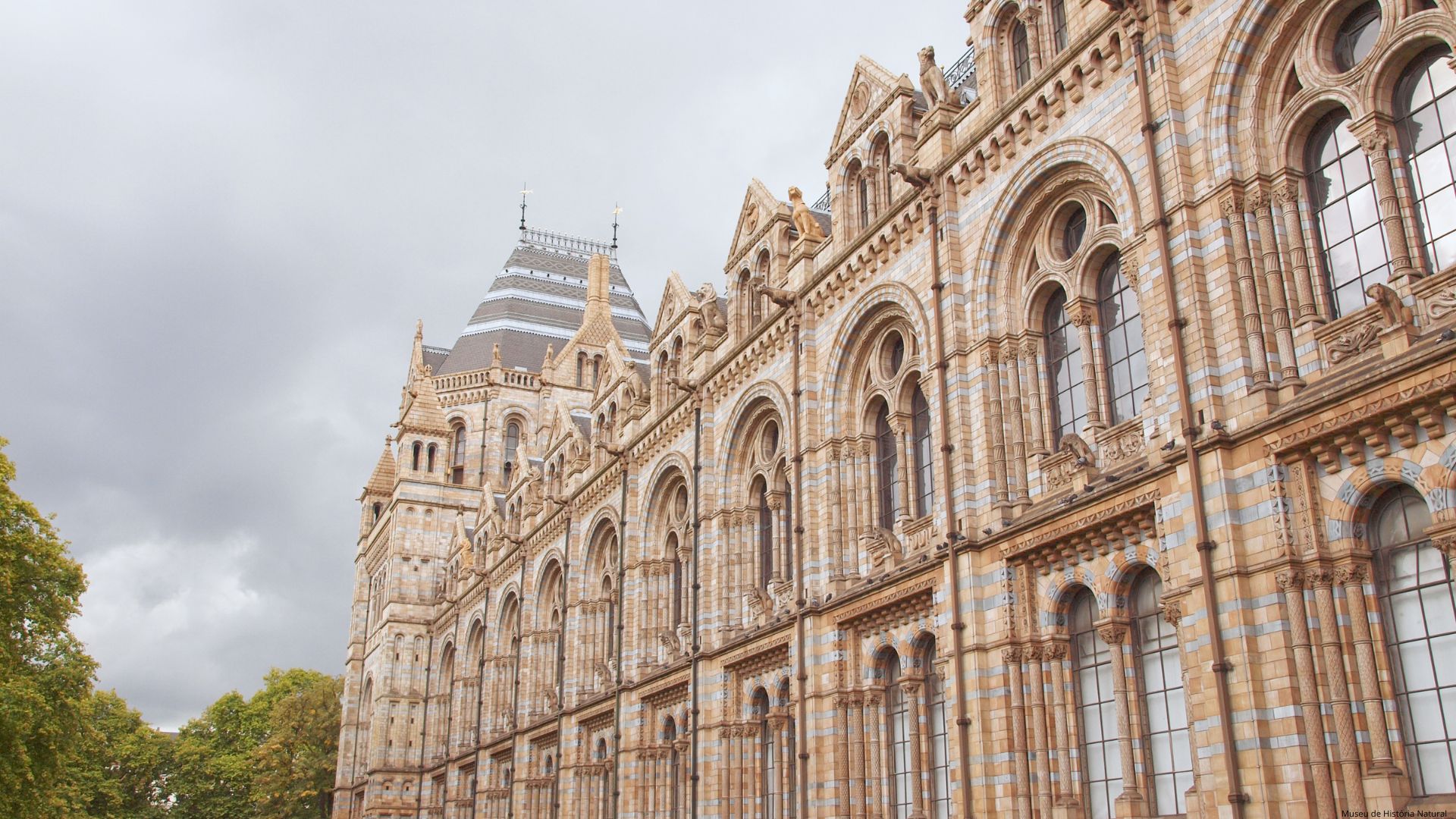 Museu de História Natural